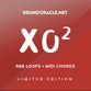 XO2 (R&B Loops + Midi Chords)